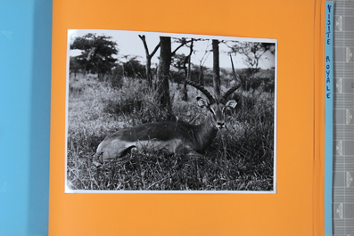 Album de photographies de Rwanda-Burundi, ca. 1955