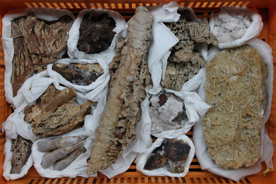 A box lot of various minerals and semi-precious stones