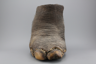 A foot of an elephant, mounted as a stool, 19/20th C.