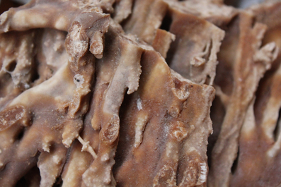 A box lot of various minerals and semi-precious stones