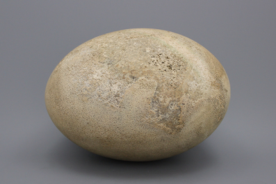 A rare intact egg of an elephant bird, Aepyornis Maximus, Madagascar, pre-17th C.