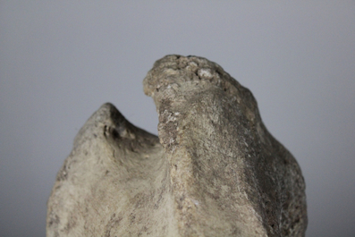Complete humerus bone fossil of a mammoth, Pleistocene period