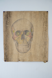 Drie grote anatomische tekeningen van schedels, 19/20e eeuw