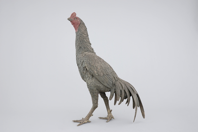 A large Japanese bronze fighting cock, 19th C.