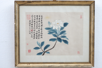 A framed Chinese floral painting, signed