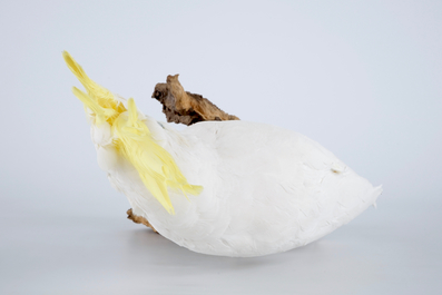 A sulphur-crested cockatoo, modern taxidermy