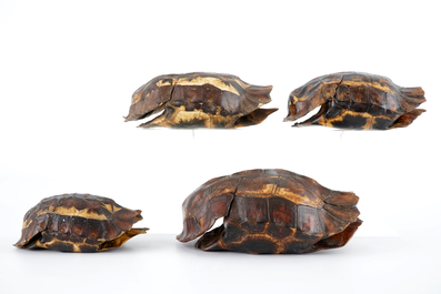 Een set van 4 schilden van de stekelrandklepschildpad, begin 20e eeuw