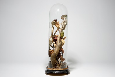 Birds on a branch, presented under glass dome, taxidermy, early 20th C.