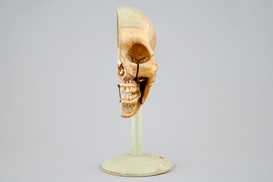 An anatomical model of a human head, mid 20th C;