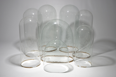 A set of eight glass domes on stands, 20th C.