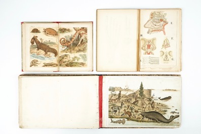 Een lot ge&iuml;lustreerde boeken en litho's over mens en dier, 19/20e eeuw