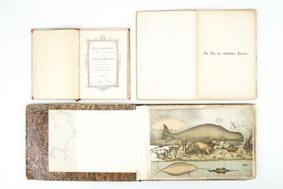 Een lot ge&iuml;lustreerde boeken en litho's over mens en dier, 19/20e eeuw