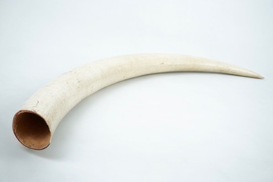 An unworked ivory tusk with CITES certificate, 20th C.