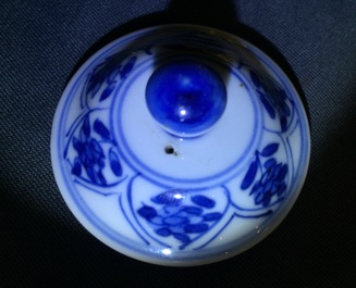 Een paar Chinese blauw-witte theepotjes met lange Lijzen, Kangxi
