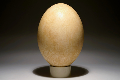 An intact elephant bird egg, Aepyornis maximus, Madagascar, 17th C. or before