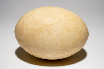 An intact elephant bird egg, Aepyornis maximus, Madagascar, 17th C. or before