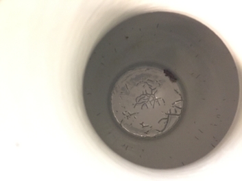 A large Chinese blue and white "dragon" hu vase, 19th C.