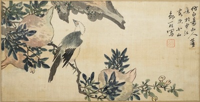 A set of four Chinese watercolours with birds among flowering branches and calligraphy, framed, 19th C.