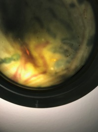 Two Chinese export famille rose plates with European figures, Qianlong