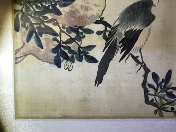 Een set van vier Chinese aquarellen van vogels bij bloesemtakken en kalligrafie, in kader, 19e eeuw