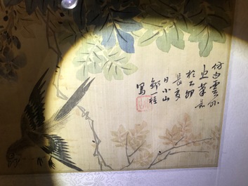 A set of four Chinese watercolours with birds among flowering branches and calligraphy, framed, 19th C.