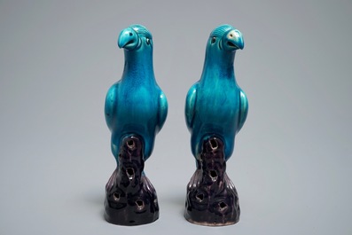 Two Chinese aubergine and turquoise-glazed models of parrots, 19th C.