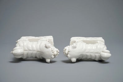 A pair of Chinese Dehua blanc de Chine models of guardian dogs on rockwork base, 19th C.