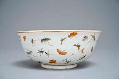 19-20世纪光绪昆虫粉彩瓷碗- Rob Michiels Auctions