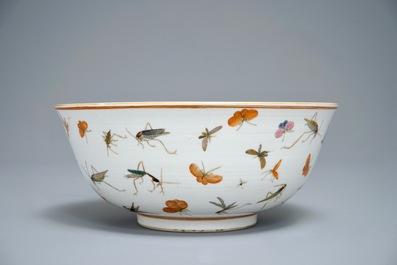 A Chinese famille rose bowl with various insects, Guangxu mark, 19/20th C.