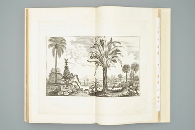 Nieuhoff, Jan: L' Ambassade de la Compagnie orientale des Provinces Unies, traduction en fran&ccedil;ais, 1665