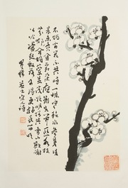 Un grand album chinois de peintures de branches fleuries, 19/20&egrave;me