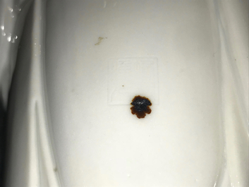 A Chinese Dehua blanc de Chine figure of Damo, Boji yuren merk, 19th C.