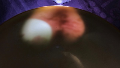 Deux bols et un br&ucirc;le-parfum en porcelaine de Chine famille rose et grisaille, Yongzheng et apr&egrave;s