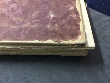 A Chinese album of drawings, 19/20th C.