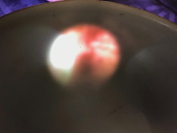 Deux bols et un br&ucirc;le-parfum en porcelaine de Chine famille rose et grisaille, Yongzheng et apr&egrave;s