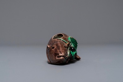 A Chinese aubergine-glazed water dropper modelled as a squirrel, Kangxi