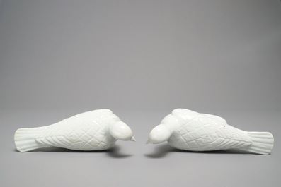 A pair of Chinese blanc de Chine models of doves, 18/19th C.