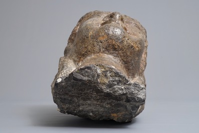 A Chinese carved limestone head of Buddha, Northern Wei (386-535)