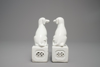Une paire de mod&egrave;les de chiens en porcelaine blanc de Chine, marque en creux, 18/19&egrave;me