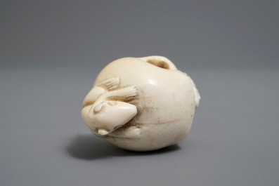 Een Japanse ivoren netsuke in de vorm van een schedel, Meiji/Showa, 19/20e eeuw