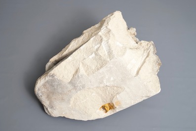 A carved stone wall fragment of a cherub's head with wing, 17/18th C.