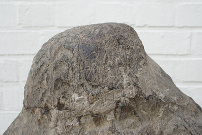 A Chinese carved limestone head of Buddha, Northern Wei (386-535)