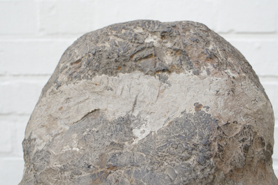 Een Chinees hoofd van Boeddha in kalksteen, noordelijke Wei Dynastie (386-535)