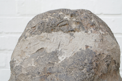 A Chinese carved limestone head of Buddha, Northern Wei (386-535)