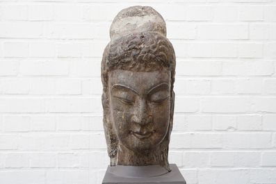 Une t&ecirc;te de Bouddha en pierre calcaire sculpt&eacute;e, Chine, Dynastie Wei du Nord (386-535)