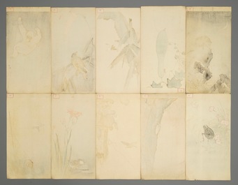 Ten Japanese watercolour paintings of animals and floral subjects, Meiji, 19/20th C.