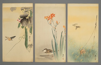 Ten Japanese watercolour paintings of animals and floral subjects, Meiji, 19/20th C.