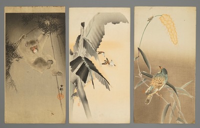 Tien Japanese aquarellen met decors van dieren en bloemen, Meiji, 19/20e eeuw