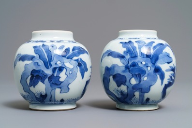 Een paar Chinese blauwwitte potjes met 'Lange Lijzen', Kangxi