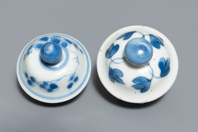 Vijf Chinese blauwwitte vazen, Kangxi
